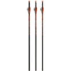 Ravin Crossbows Arrows Bolts Lighted 400 Grain .003 +/- 3pk Matched Weight R133